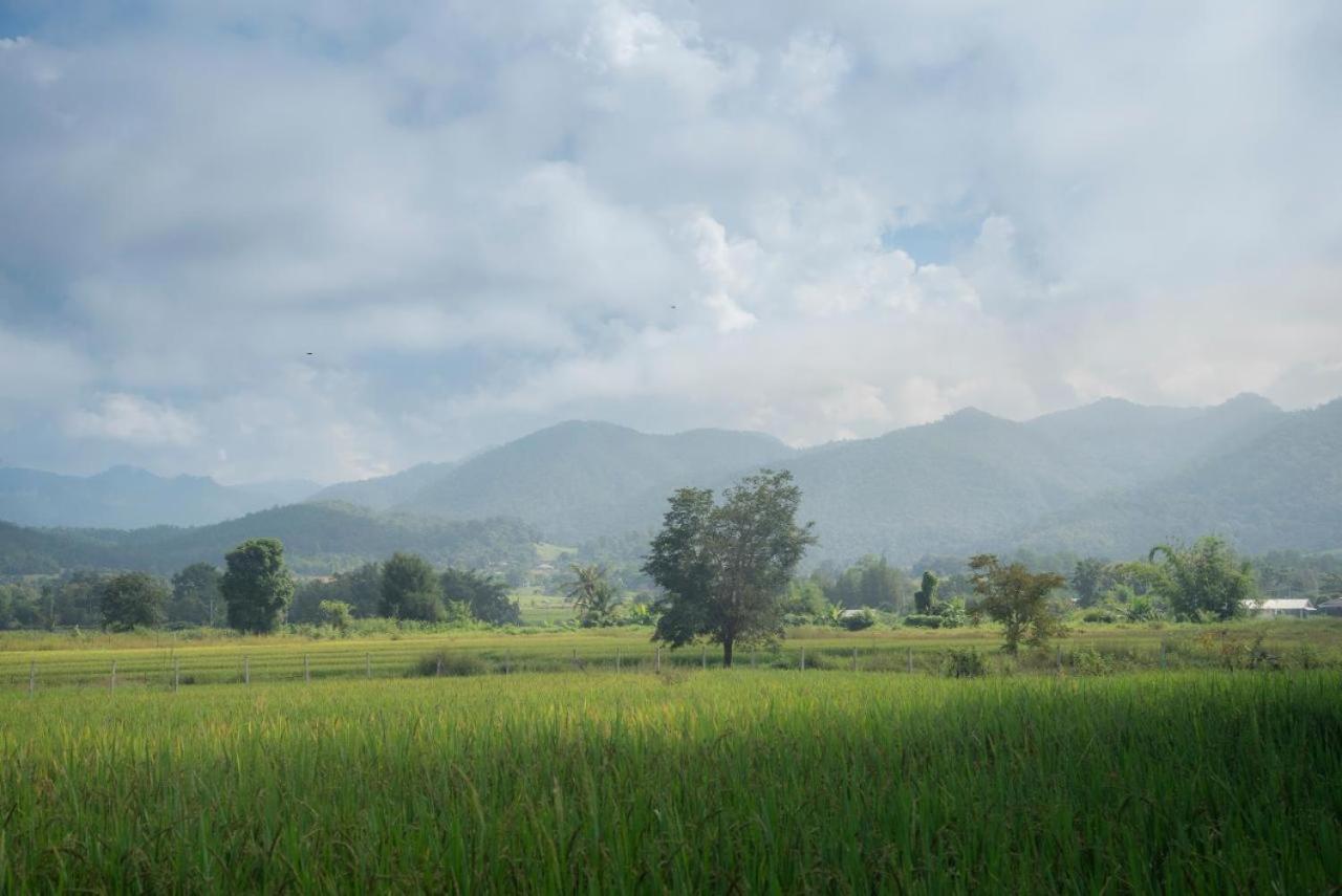 Camp View Mountain - Sell Experience By Paddy Fields Haven - Natures Nest Pai Bagian luar foto