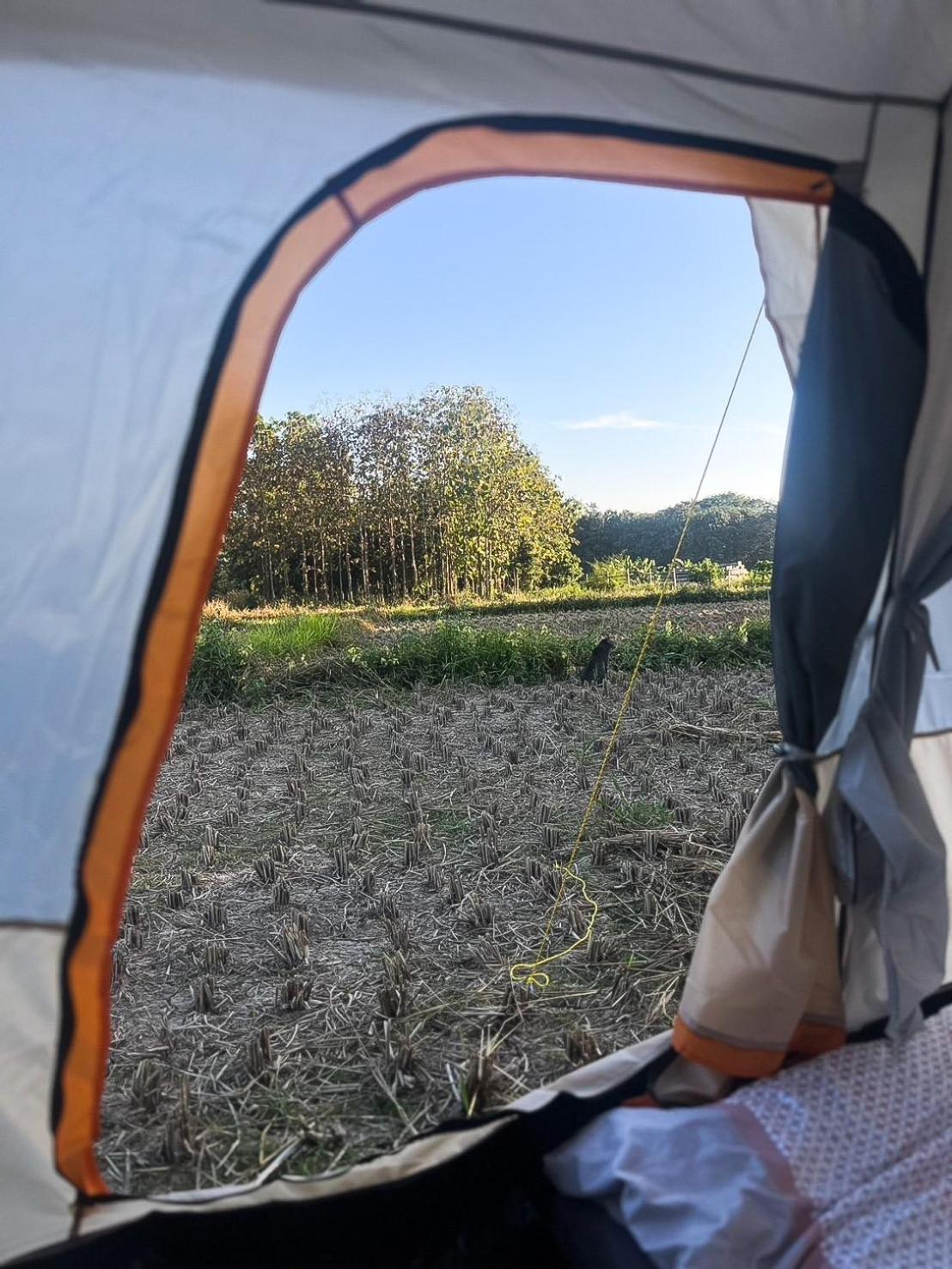 Camp View Mountain - Sell Experience By Paddy Fields Haven - Natures Nest Pai Bagian luar foto